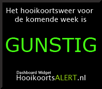 Voorzijde widget